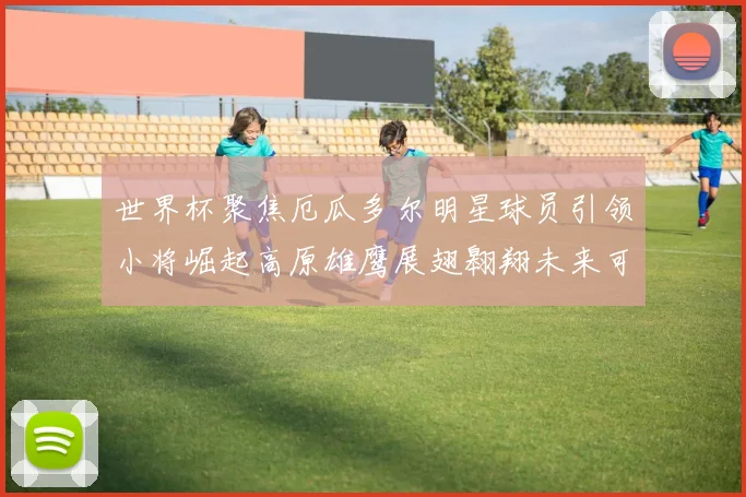 世界杯聚焦厄瓜多尔明星球员引领小将崛起高原雄鹰展翅翱翔未来可期