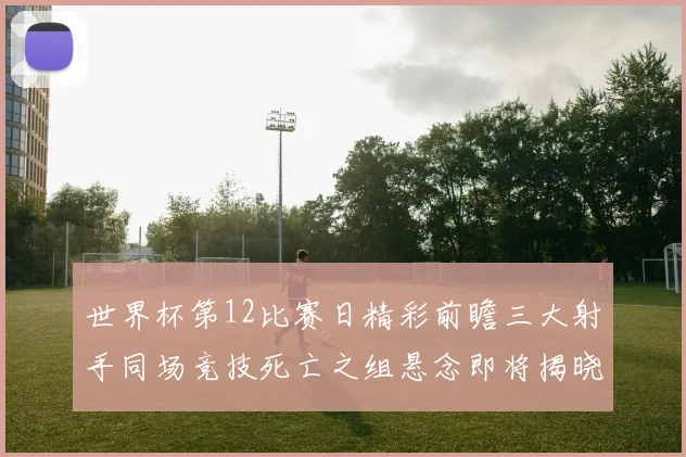 世界杯第12比赛日精彩前瞻三大射手同场竞技死亡之组悬念即将揭晓