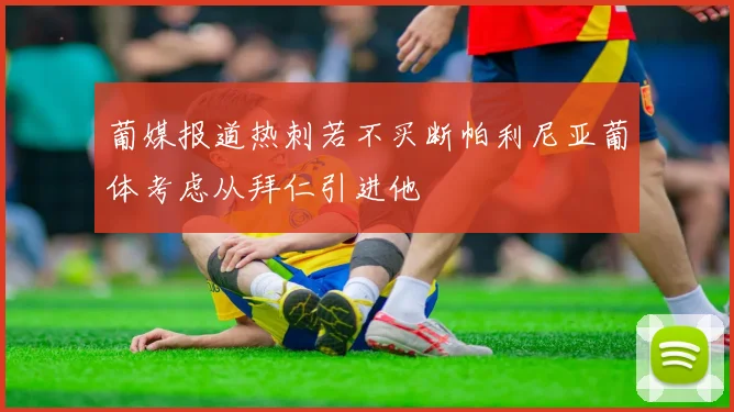 葡媒报道热刺若不买断帕利尼亚葡体考虑从拜仁引进他